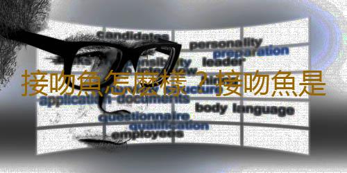 接吻魚怎麽樣？接吻魚是什麽？